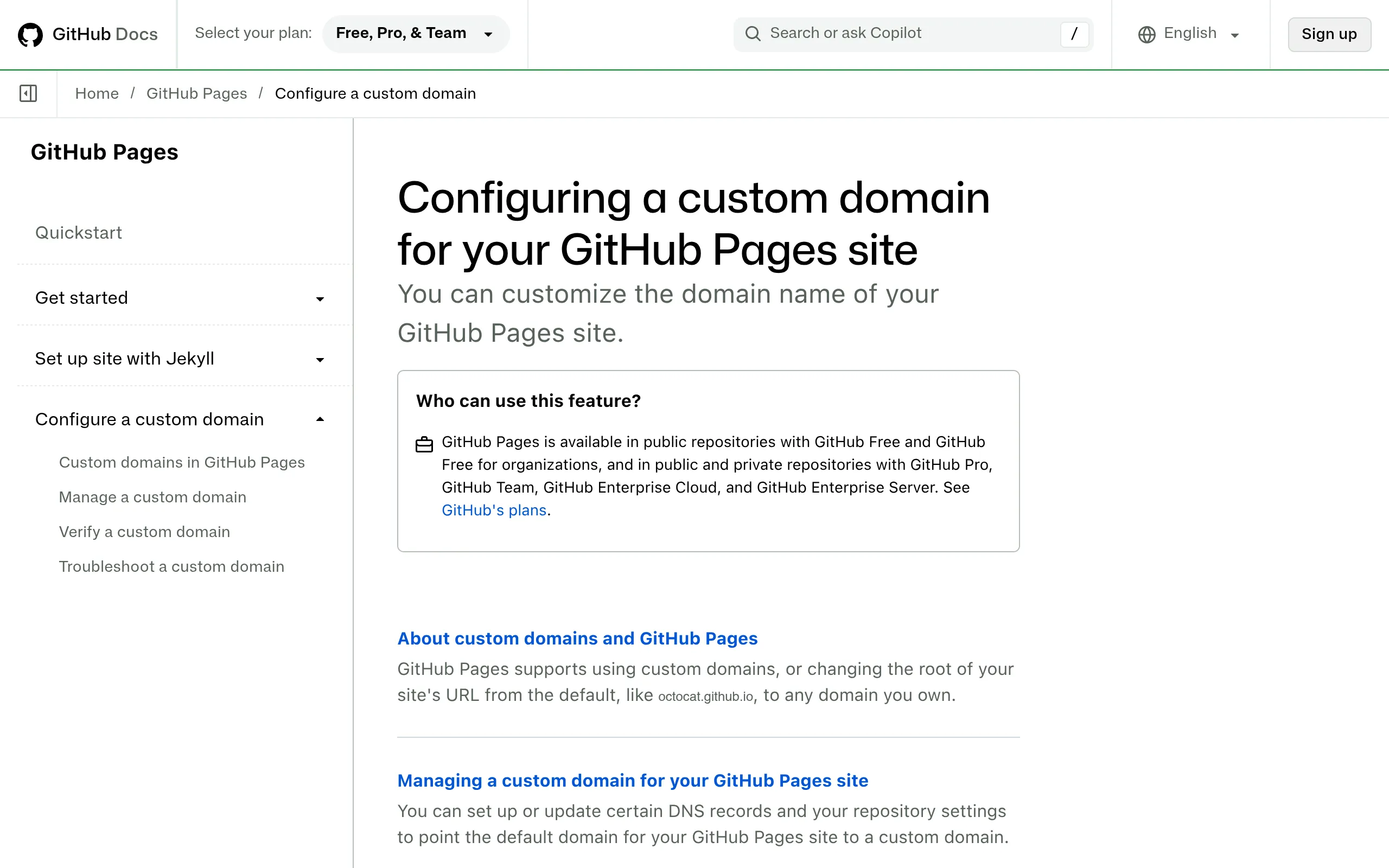 Official custom domain documentation